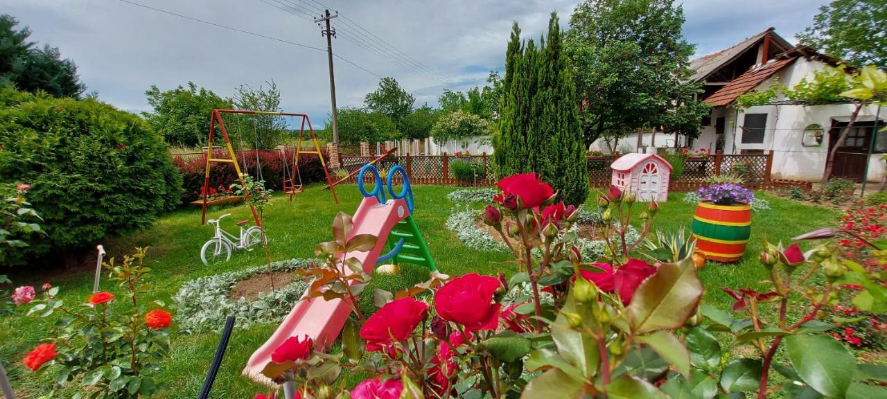 Guest House Dunavski Raj Kostol Dış mekan fotoğraf