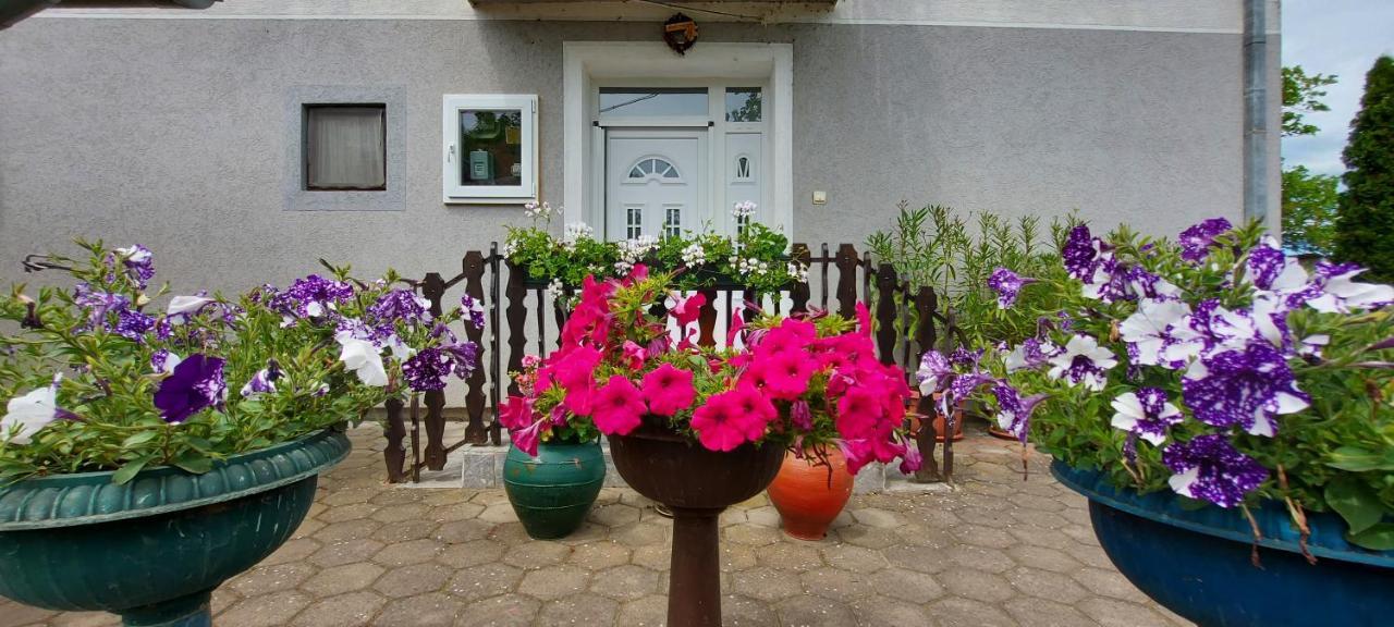 Guest House Dunavski Raj Kostol Dış mekan fotoğraf