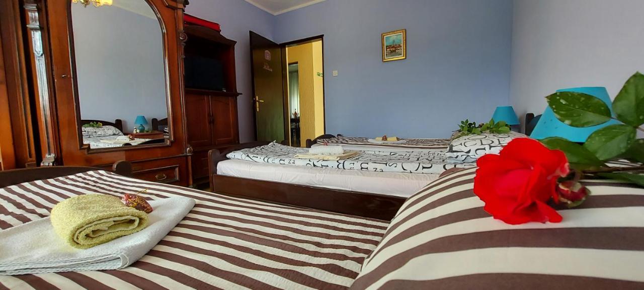 Guest House Dunavski Raj Kostol Dış mekan fotoğraf