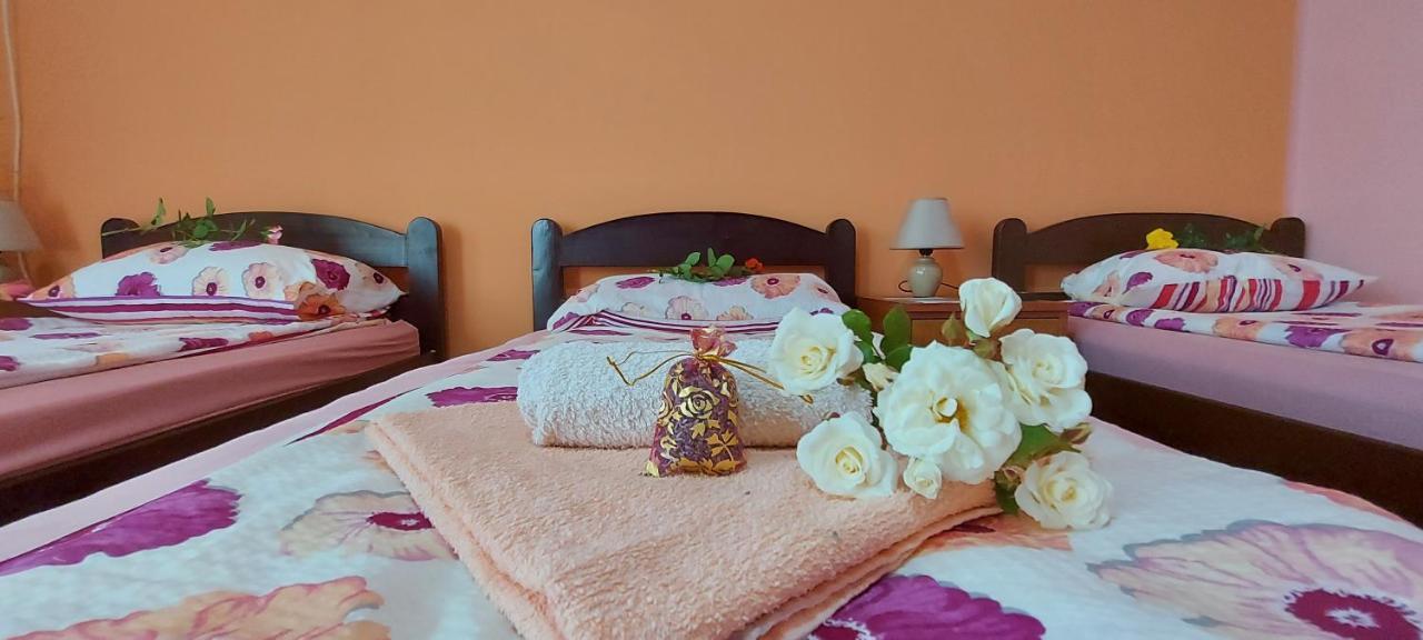 Guest House Dunavski Raj Kostol Dış mekan fotoğraf