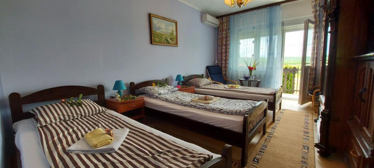 Guest House Dunavski Raj Kostol Dış mekan fotoğraf