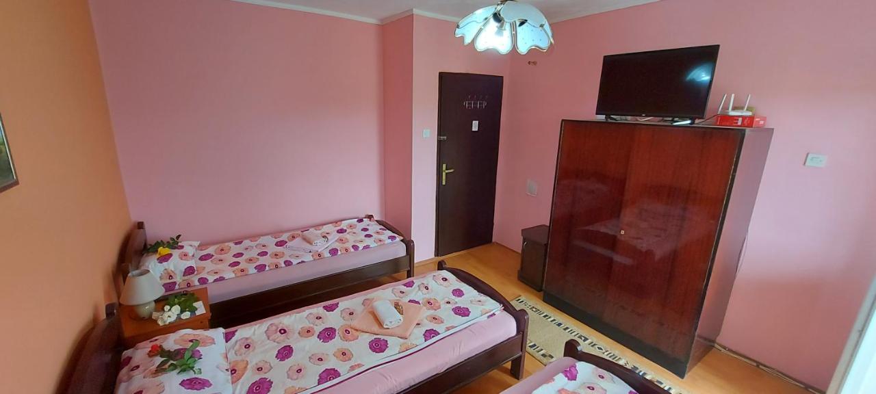 Guest House Dunavski Raj Kostol Dış mekan fotoğraf
