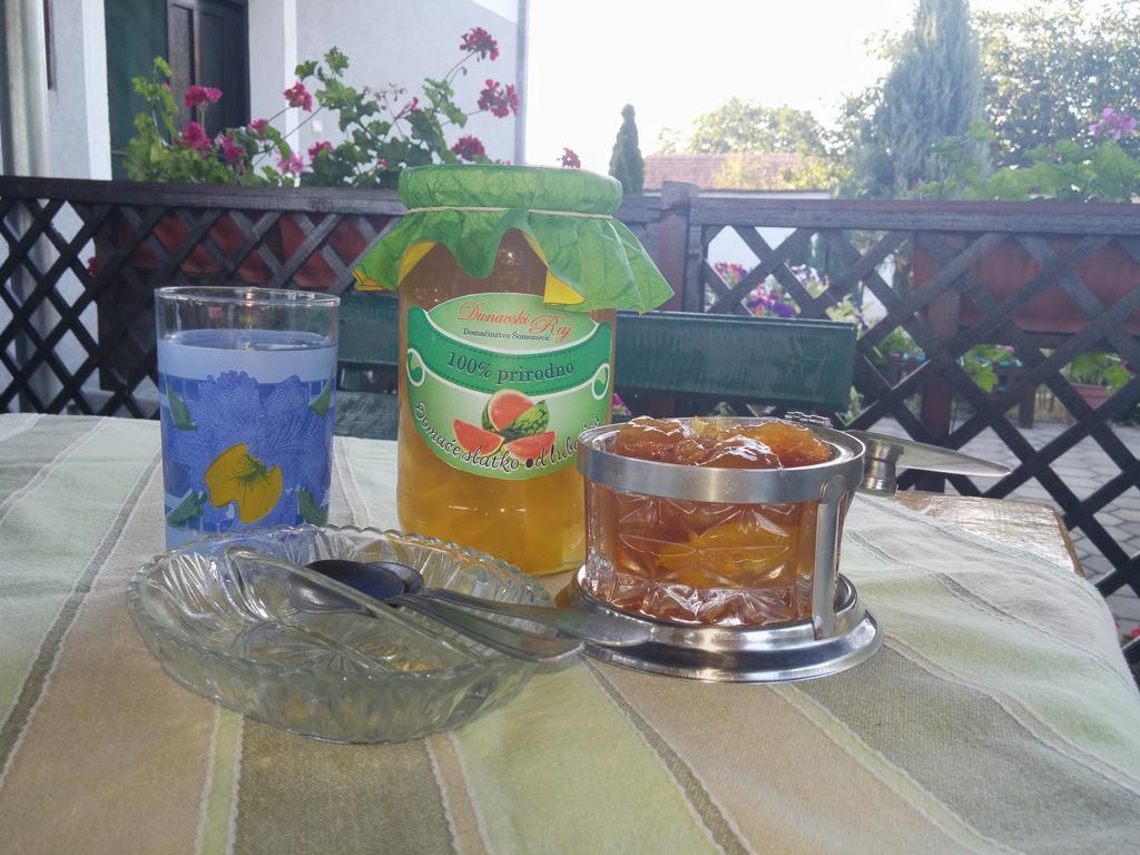 Guest House Dunavski Raj Kostol Dış mekan fotoğraf
