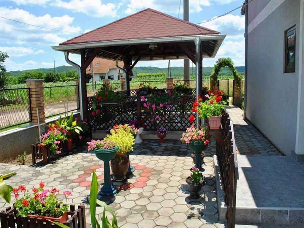 Guest House Dunavski Raj Kostol Dış mekan fotoğraf