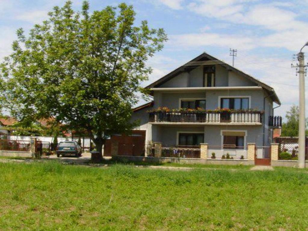 Guest House Dunavski Raj Kostol Dış mekan fotoğraf