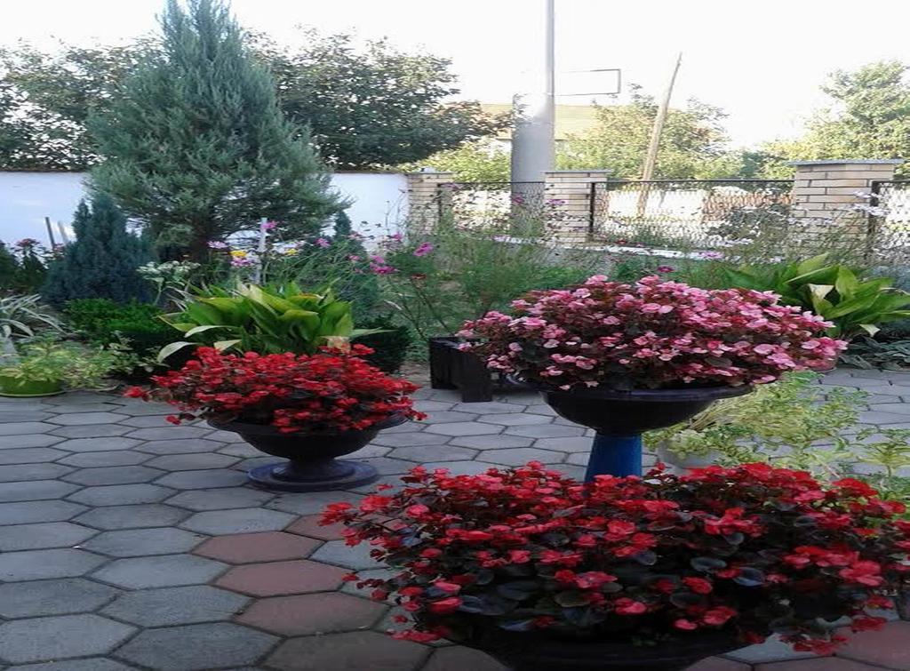 Guest House Dunavski Raj Kostol Dış mekan fotoğraf