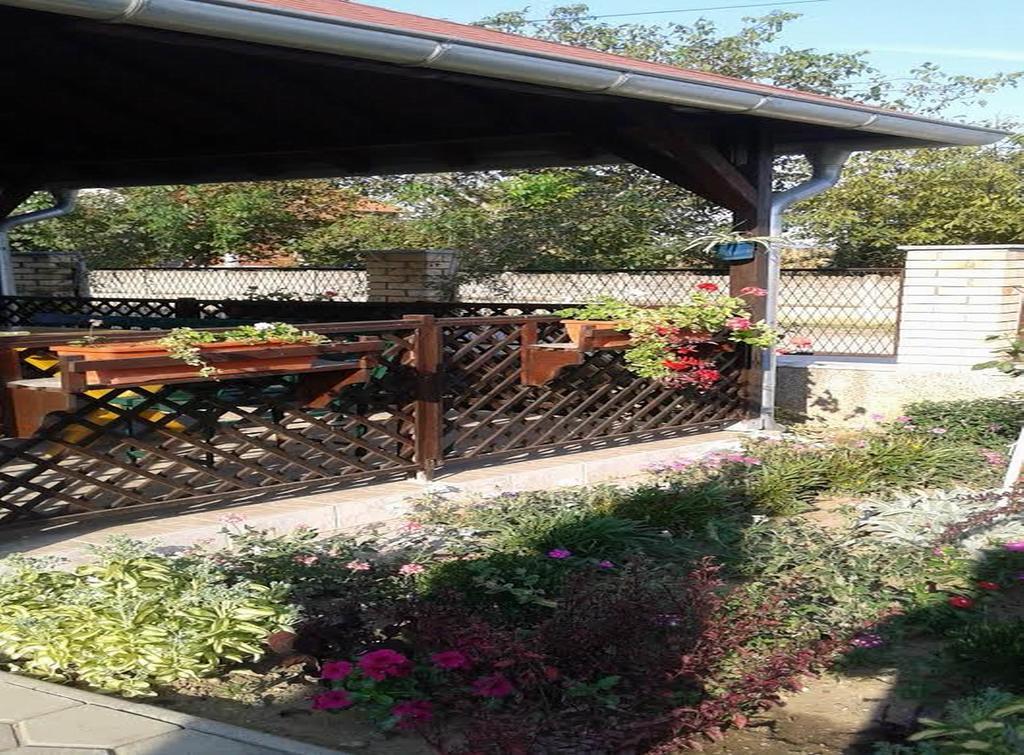 Guest House Dunavski Raj Kostol Dış mekan fotoğraf